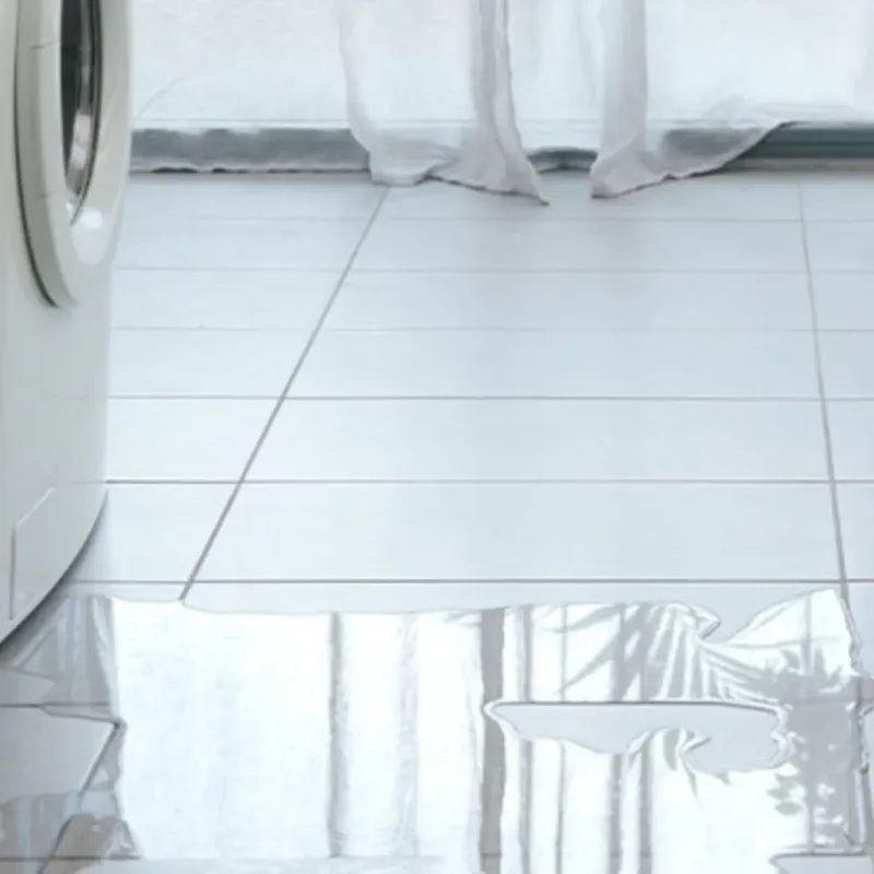 Appliance Leak Cleanup in Level Plains, AL