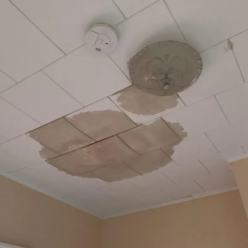 Ceiling Water Damage Repair in Level Plains, AL