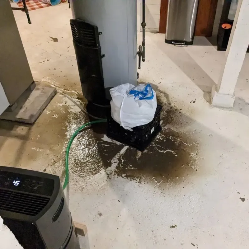 Sewage Backup Cleanup Service in Level Plains, AL
